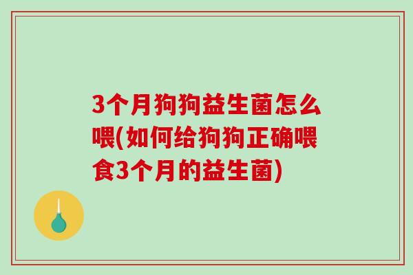 3个月狗狗益生菌怎么喂(如何给狗狗正确喂食3个月的益生菌)