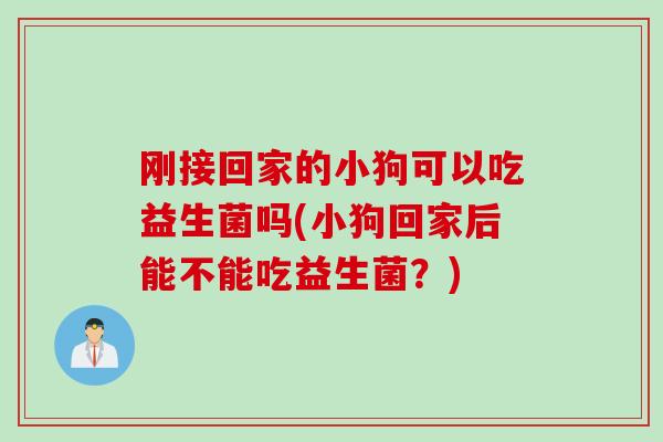 刚接回家的小狗可以吃益生菌吗(小狗回家后能不能吃益生菌？)