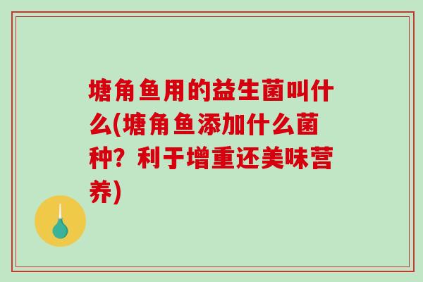 塘角鱼用的益生菌叫什么(塘角鱼添加什么菌种？利于增重还美味营养)