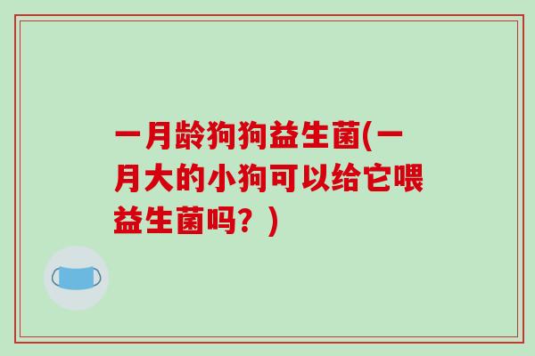 一月龄狗狗益生菌(一月大的小狗可以给它喂益生菌吗？)