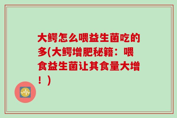 大鳄怎么喂益生菌吃的多(大鳄增肥秘籍：喂食益生菌让其食量大增！)