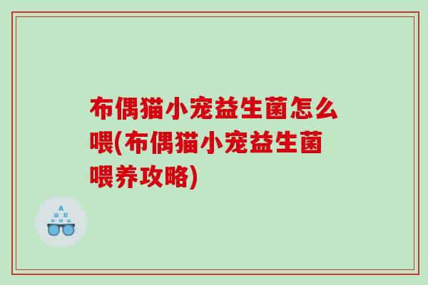布偶猫小宠益生菌怎么喂(布偶猫小宠益生菌喂养攻略)
