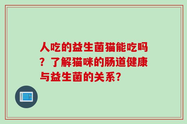人吃的益生菌猫能吃吗？了解猫咪的肠道健康与益生菌的关系？