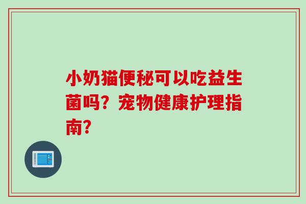 小奶猫便秘可以吃益生菌吗？宠物健康护理指南？