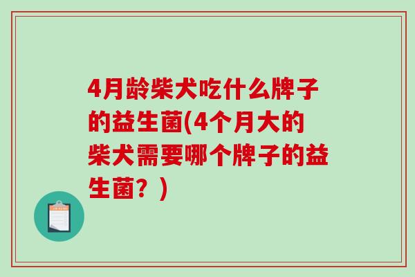 4月龄柴犬吃什么牌子的益生菌(4个月大的柴犬需要哪个牌子的益生菌？)