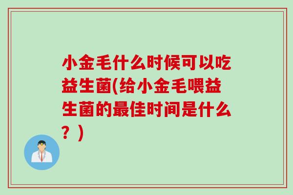小金毛什么时候可以吃益生菌(给小金毛喂益生菌的佳时间是什么?) 小金毛什么时候可以吃益生菌(给小金毛喂益生菌的佳时间是什么?)