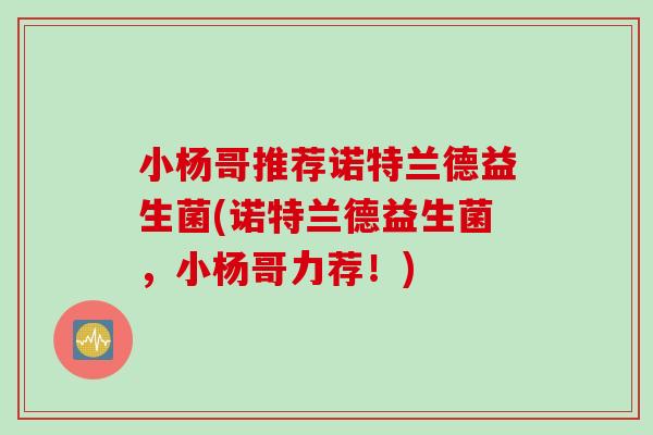 小杨哥推荐诺特兰德益生菌(诺特兰德益生菌，小杨哥力荐！)