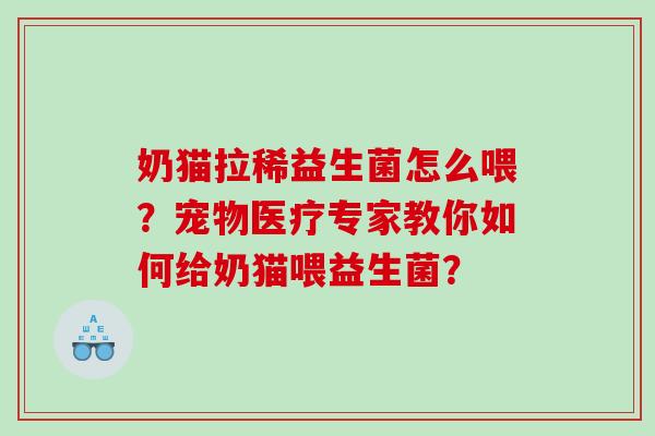 奶猫拉稀益生菌怎么喂？宠物医疗专家教你如何给奶猫喂益生菌？