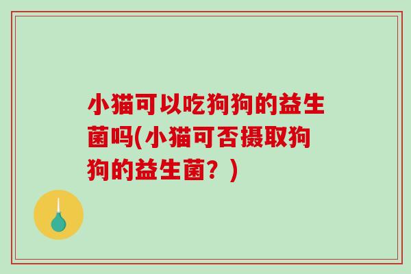 小猫可以吃狗狗的益生菌吗(小猫可否摄取狗狗的益生菌?) 小猫可以吃狗狗的益生菌吗(小猫可否摄取狗狗的益生菌?)
