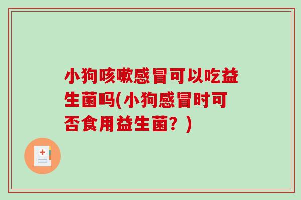 小狗可以吃益生菌吗(小狗时可否食用益生菌？)