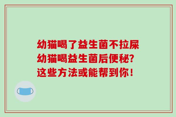 幼猫喝了益生菌不拉屎幼猫喝益生菌后？这些方法或能帮到你！