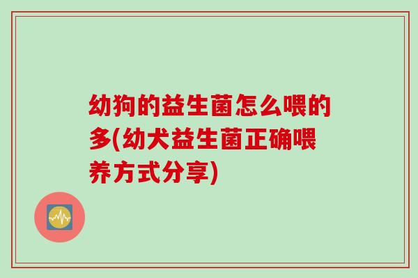 幼狗的益生菌怎么喂的多(幼犬益生菌正确喂养方式分享) 幼狗的益生菌怎么喂的多(幼犬益生菌正确喂养方式分享)