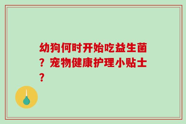 幼狗何时开始吃益生菌?宠物健康护理小贴士? 幼狗何时开始吃益生菌?宠物健康护理小贴士?