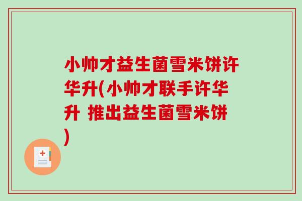 小帅才益生菌雪米饼许华升(小帅才联手许华升 推出益生菌雪米饼)