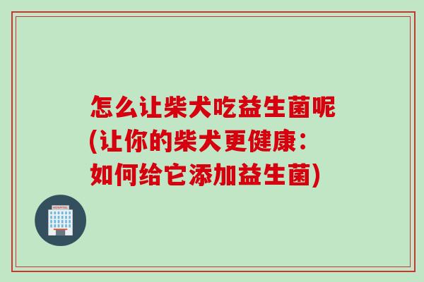 怎么让柴犬吃益生菌呢(让你的柴犬更健康：如何给它添加益生菌)