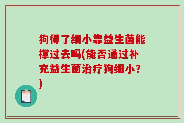 狗得了细小靠益生菌能撑过去吗(能否通过补充益生菌治疗狗细小？)