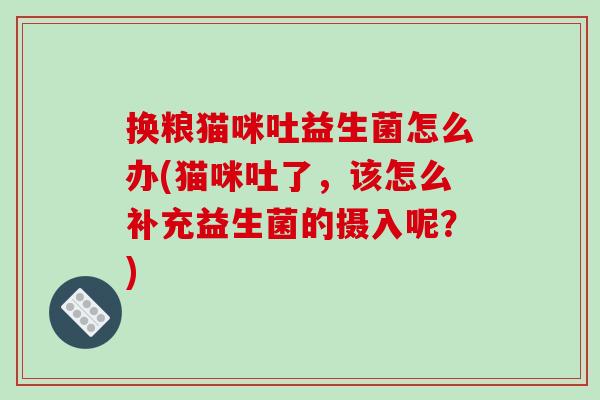换粮猫咪吐益生菌怎么办(猫咪吐了，该怎么补充益生菌的摄入呢？)