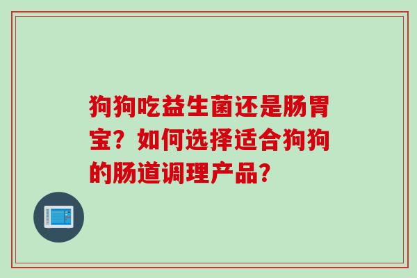 狗狗吃益生菌还是肠胃宝？如何选择适合狗狗的肠道调理产品？