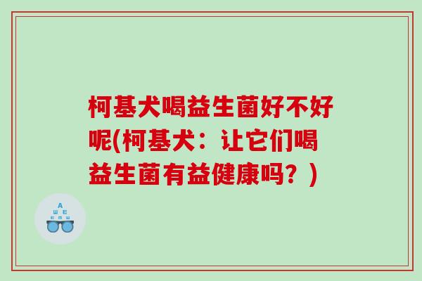 柯基犬喝益生菌好不好呢(柯基犬：让它们喝益生菌有益健康吗？)