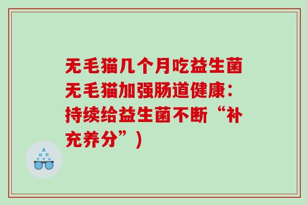 无毛猫几个月吃益生菌无毛猫加强肠道健康：持续给益生菌不断“补充养分”)