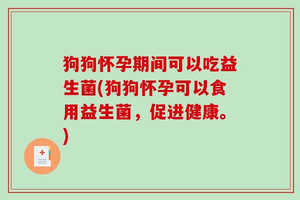 狗狗怀孕期间可以吃益生菌(狗狗怀孕可以食用益生菌，促进健康。)