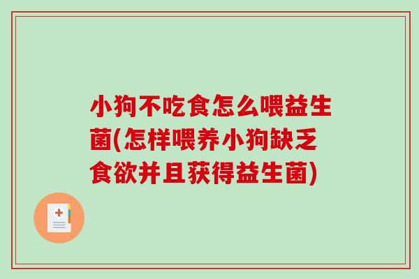 小狗不吃食怎么喂益生菌(怎样喂养小狗缺乏食欲并且获得益生菌)