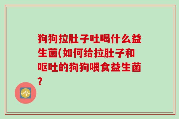 狗狗拉肚子吐喝什么益生菌(如何给拉肚子和呕吐的狗狗喂食益生菌？