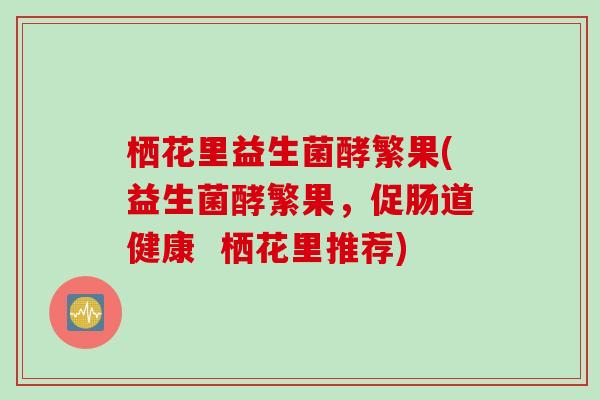 栖花里益生菌酵繁果(益生菌酵繁果，促肠道健康  栖花里推荐)