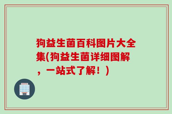 狗益生菌百科图片大全集(狗益生菌详细图解，一站式了解！)
