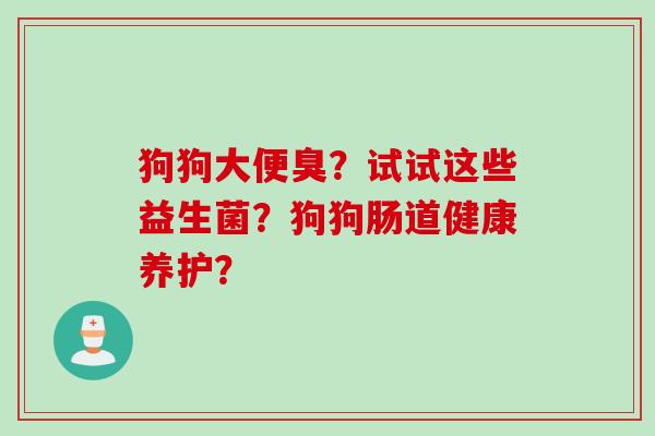 狗狗大便臭？试试这些益生菌？狗狗肠道健康养护？