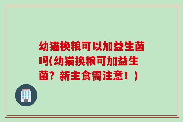 幼猫换粮可以加益生菌吗(幼猫换粮可加益生菌？新主食需注意！)