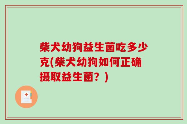 柴犬幼狗益生菌吃多少克(柴犬幼狗如何正确摄取益生菌？)