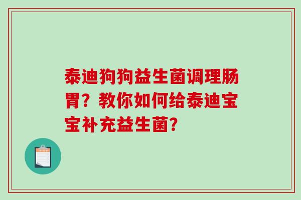泰迪狗狗益生菌调理肠胃？教你如何给泰迪宝宝补充益生菌？