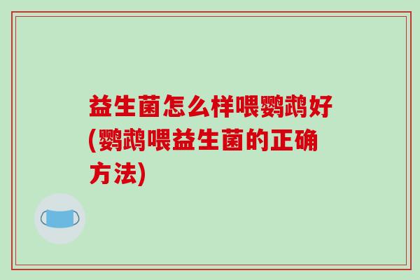 益生菌怎么样喂鹦鹉好(鹦鹉喂益生菌的正确方法)