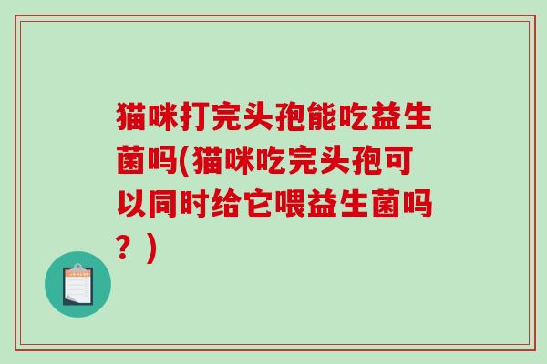 猫咪打完头孢能吃益生菌吗(猫咪吃完头孢可以同时给它喂益生菌吗？)