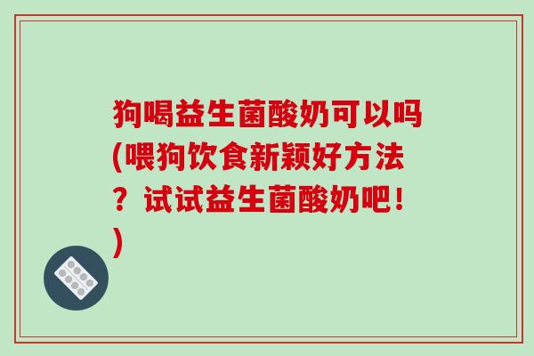 狗喝益生菌酸奶可以吗(喂狗饮食新颖好方法？试试益生菌酸奶吧！)