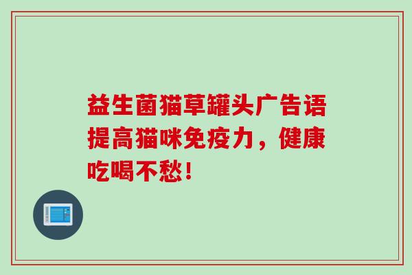 益生菌猫草罐头广告语提高猫咪免疫力，健康吃喝不愁！