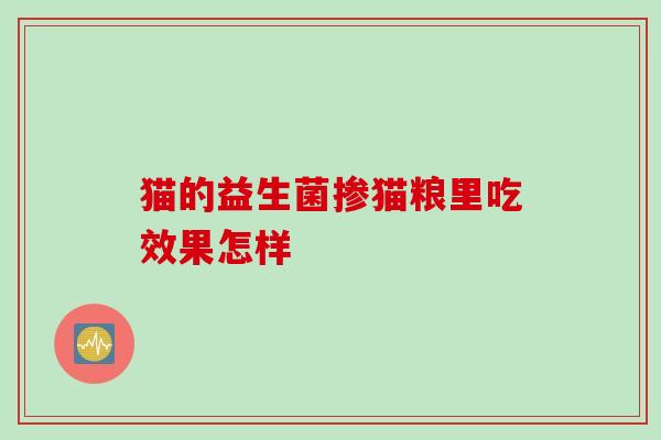猫的益生菌掺猫粮里吃效果怎样