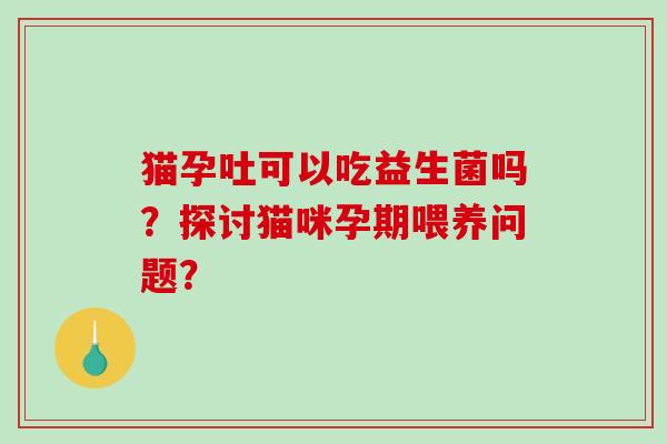 猫孕吐可以吃益生菌吗？探讨猫咪孕期喂养问题？
