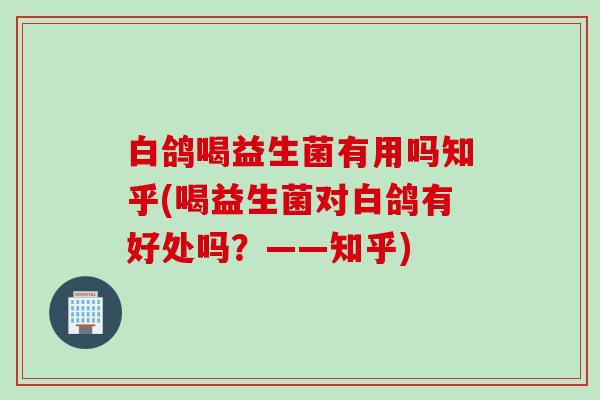 白鸽喝益生菌有用吗知乎(喝益生菌对白鸽有好处吗？——知乎)