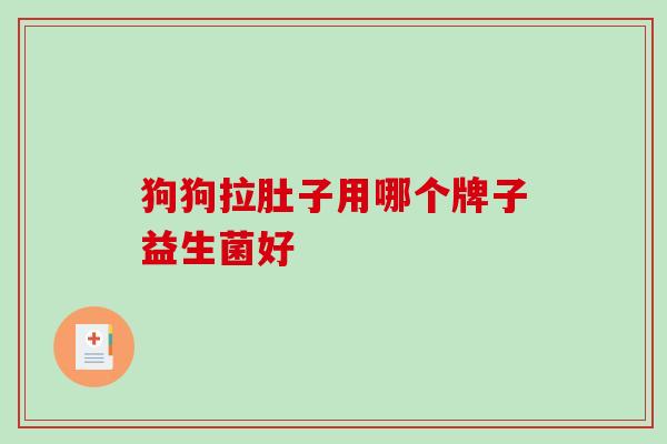 狗狗拉肚子用哪个牌子益生菌好