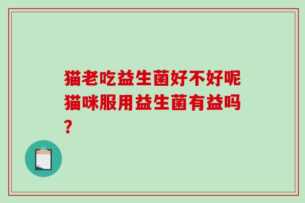 猫老吃益生菌好不好呢猫咪服用益生菌有益吗? 猫老吃益生菌好不好呢猫咪服用益生菌有益吗?
