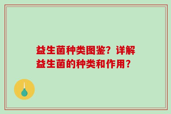 益生菌种类图鉴？详解益生菌的种类和作用？