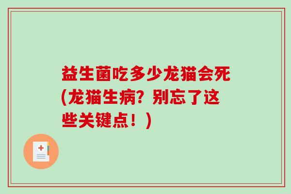 益生菌吃多少龙猫会死(龙猫生？别忘了这些关键点！)
