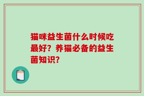 猫咪益生菌什么时候吃最好？养猫必备的益生菌知识？