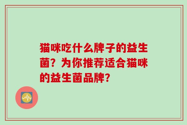猫咪吃什么牌子的益生菌？为你推荐适合猫咪的益生菌品牌？
