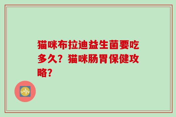 猫咪布拉迪益生菌要吃多久？猫咪肠胃保健攻略？