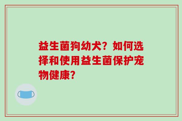益生菌狗幼犬？如何选择和使用益生菌保护宠物健康？