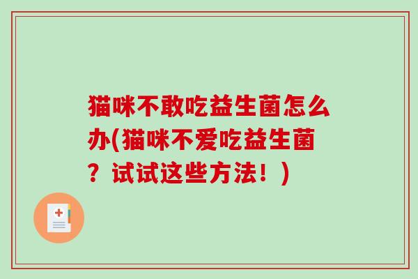 猫咪不敢吃益生菌怎么办(猫咪不爱吃益生菌?试试这些方法!) 猫咪不敢吃益生菌怎么办(猫咪不爱吃益生菌?试试这些方法!)