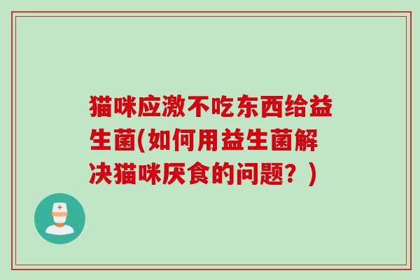猫咪应激不吃东西给益生菌(如何用益生菌解决猫咪厌食的问题？)